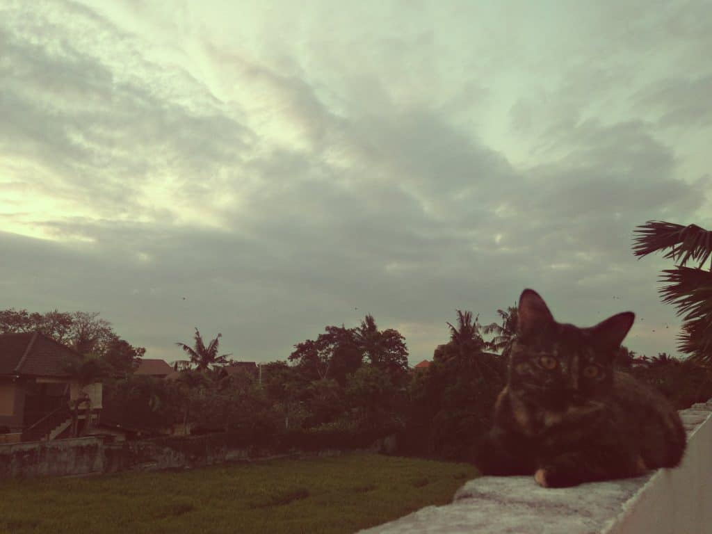 the rainy season in Seminyak village, Bali