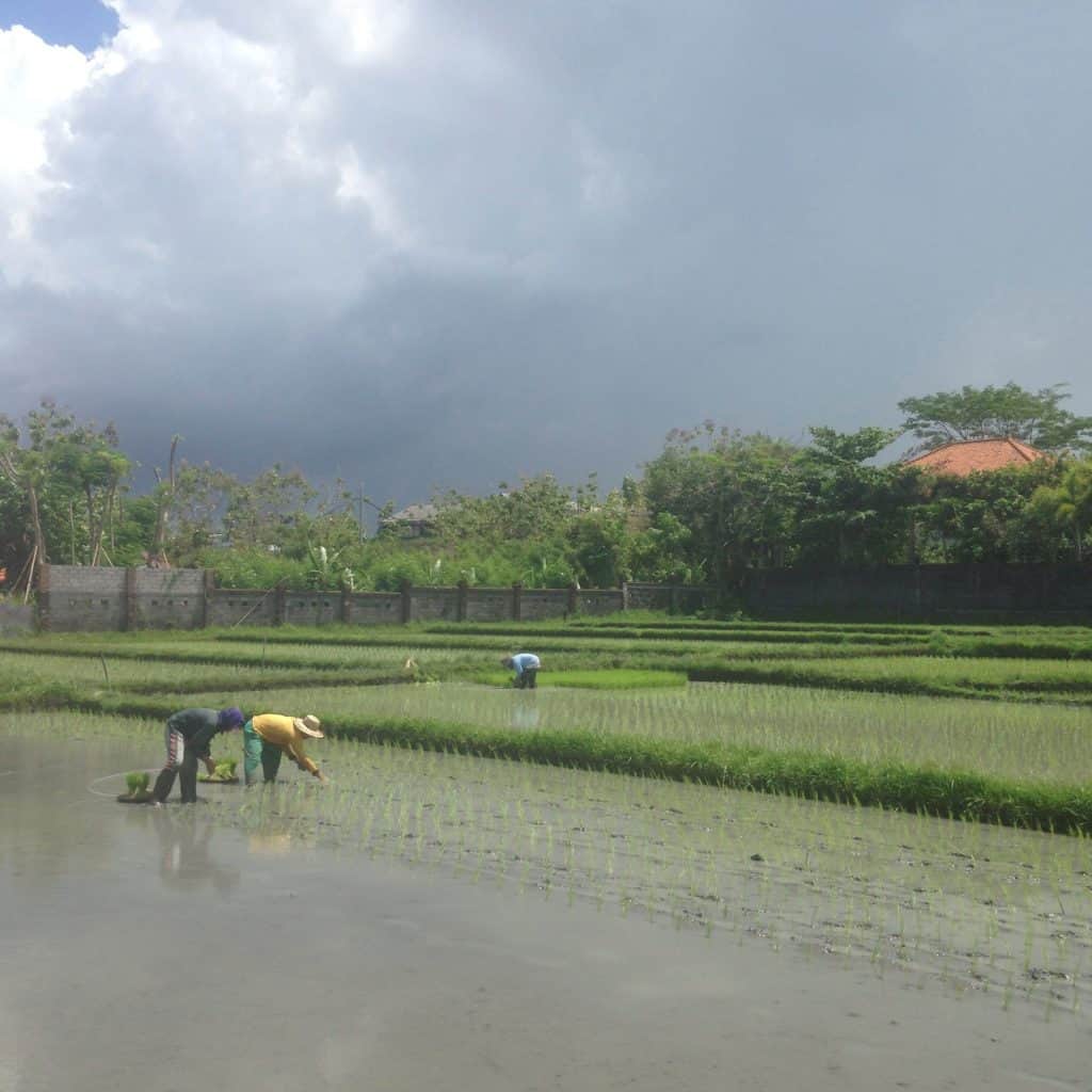 clouded over in the rainy season in Bali