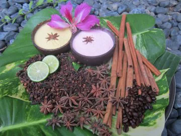 Venus Spa and In-Villa Treatments at Villa Kubu, Seminyak