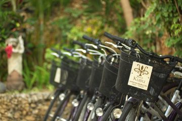 Villa Kubu Bicycles Seminyak Bali